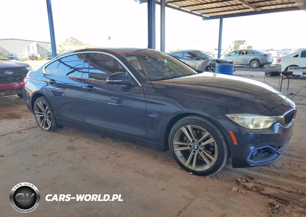 2016 BMW 428 Xi Gran Coupe Sulev VIN:WBA4C9C57GG137987 - 4