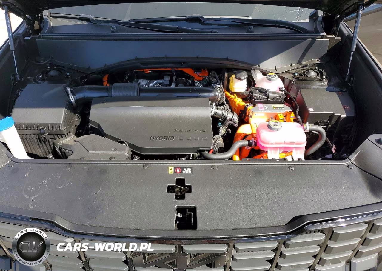 2027 Kia Telluride Hybrid X-Line Sx VIN:5XYPDESAXVG023793 - 12