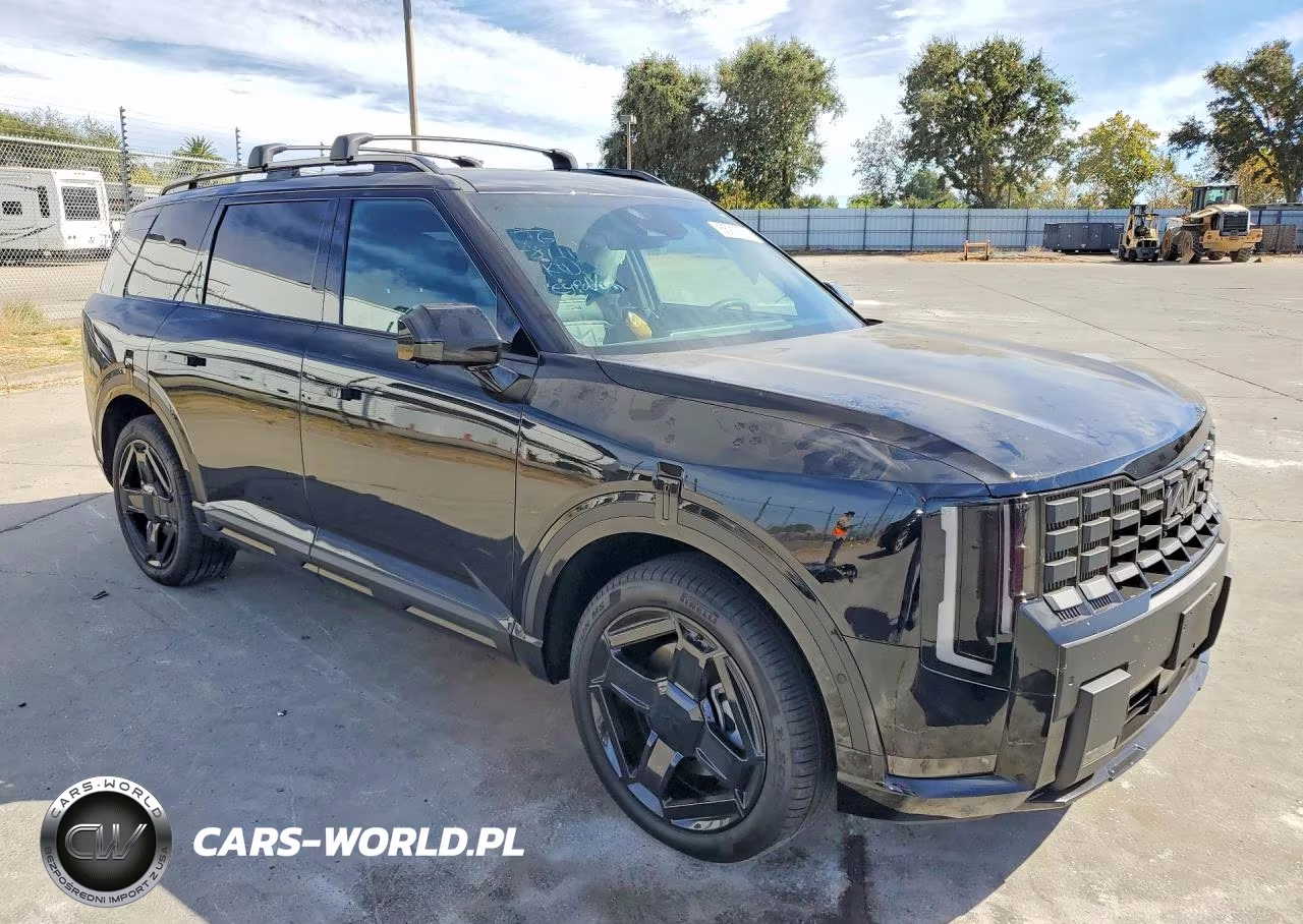 2027 Kia Telluride Hybrid X-Line Sx VIN:5XYPDESAXVG023793 - 4