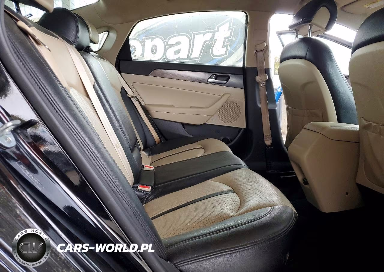 2015 Hyundai Sonata Sport VIN:5NPE34AF3FH087217 - 10