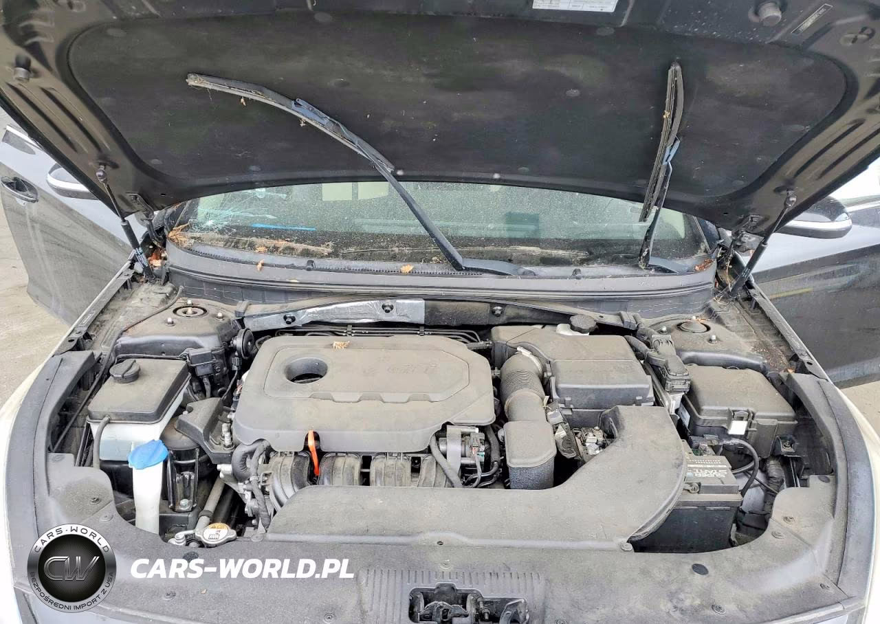 2015 Hyundai Sonata Sport VIN:5NPE34AF3FH087217 - 11