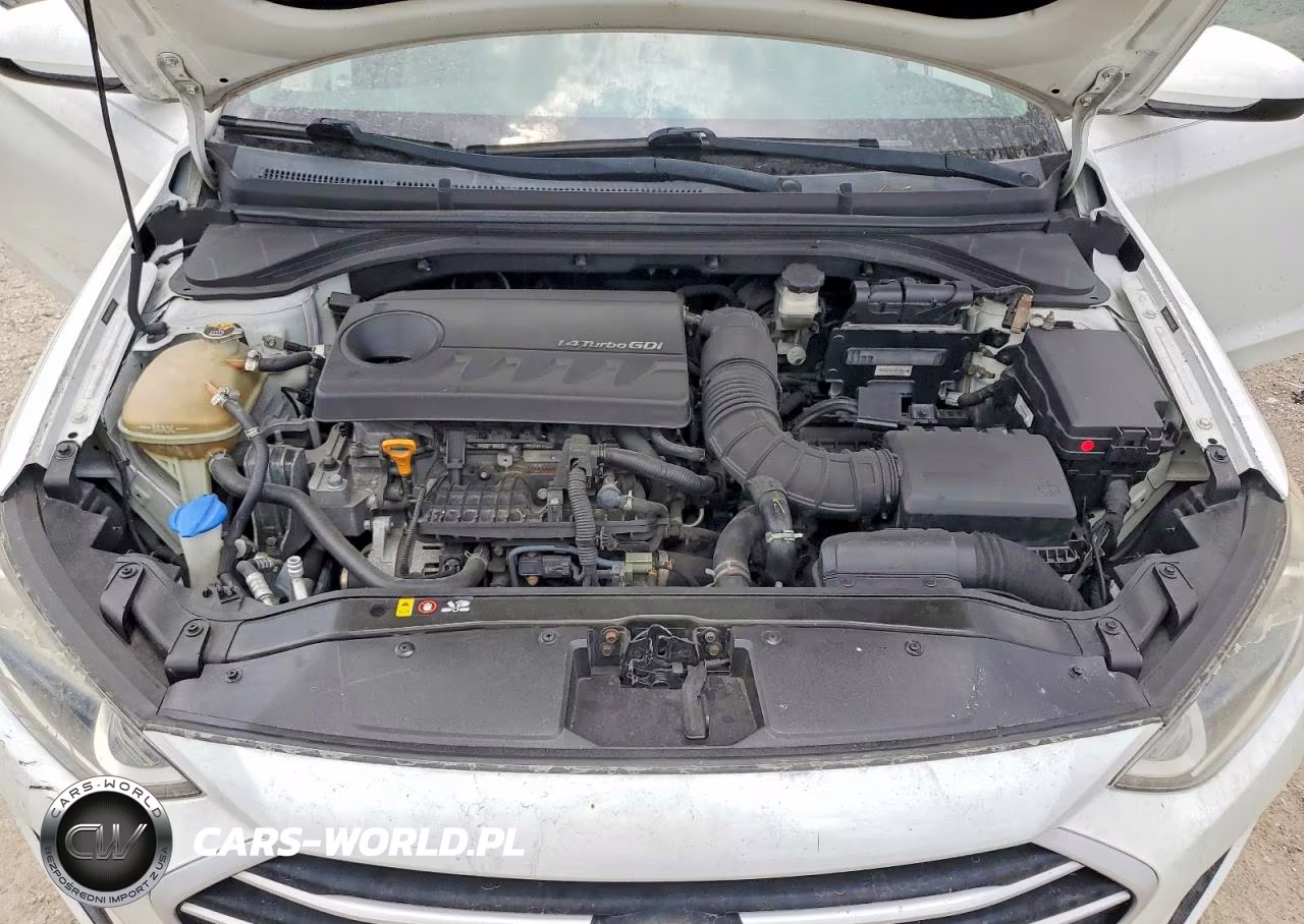 2017 Hyundai Elantra Eco VIN:5NPD94LA0HH070650 - 11