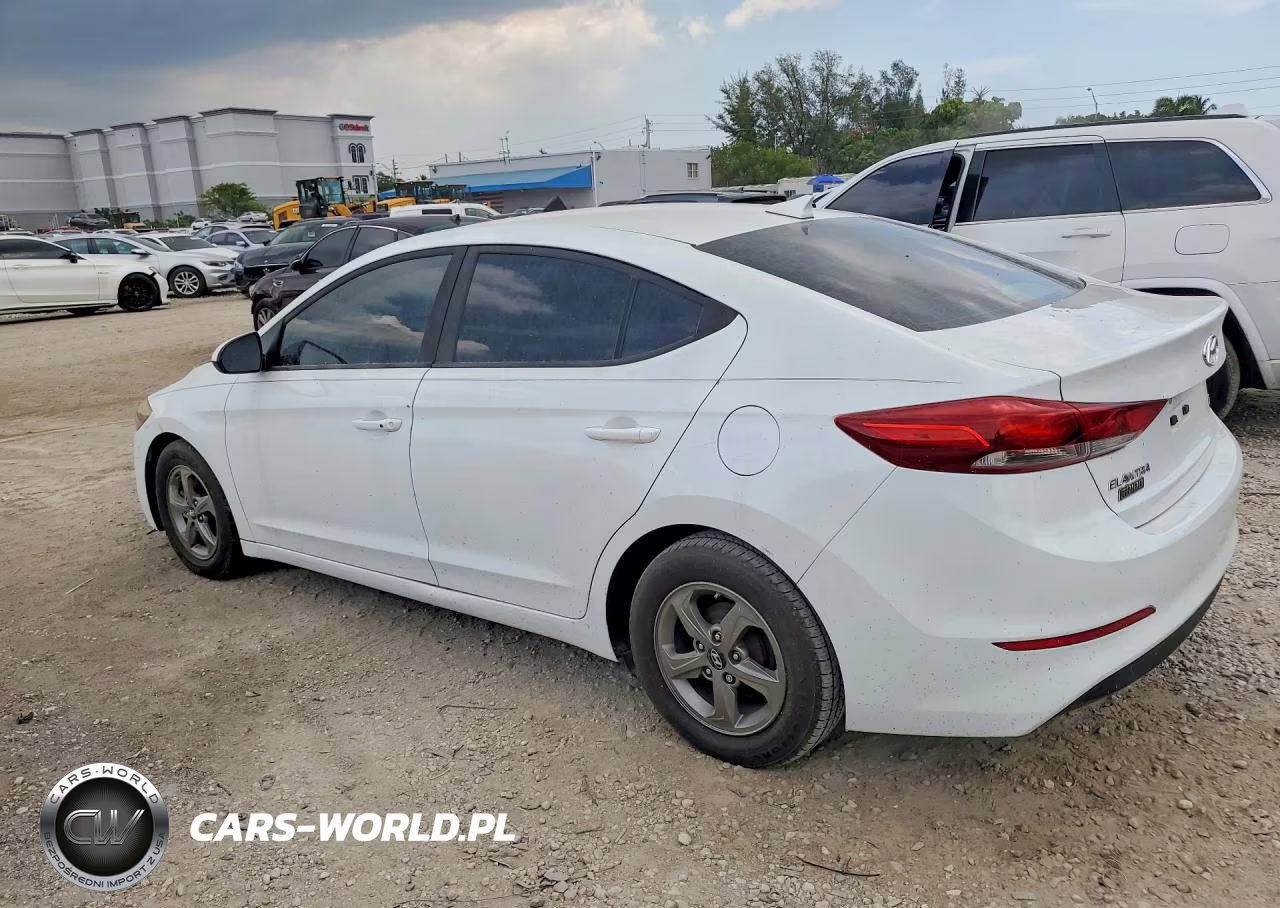 2017 Hyundai Elantra Eco VIN:5NPD94LA0HH070650 - 2
