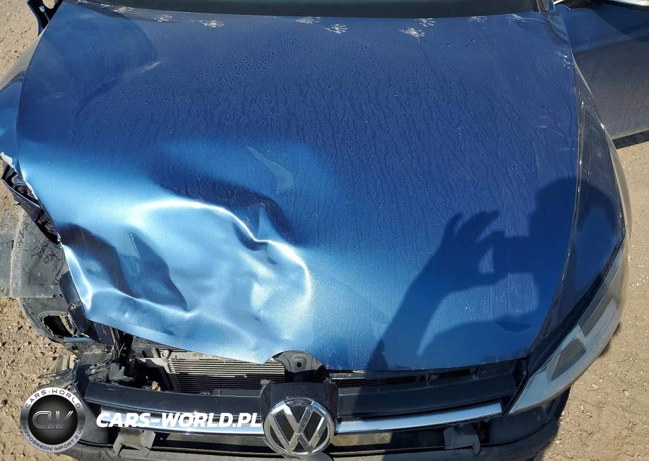 2015 Volkswagen Golf Sportwagen Tdi S VIN:3VWCA7AU8FM520745 - 12