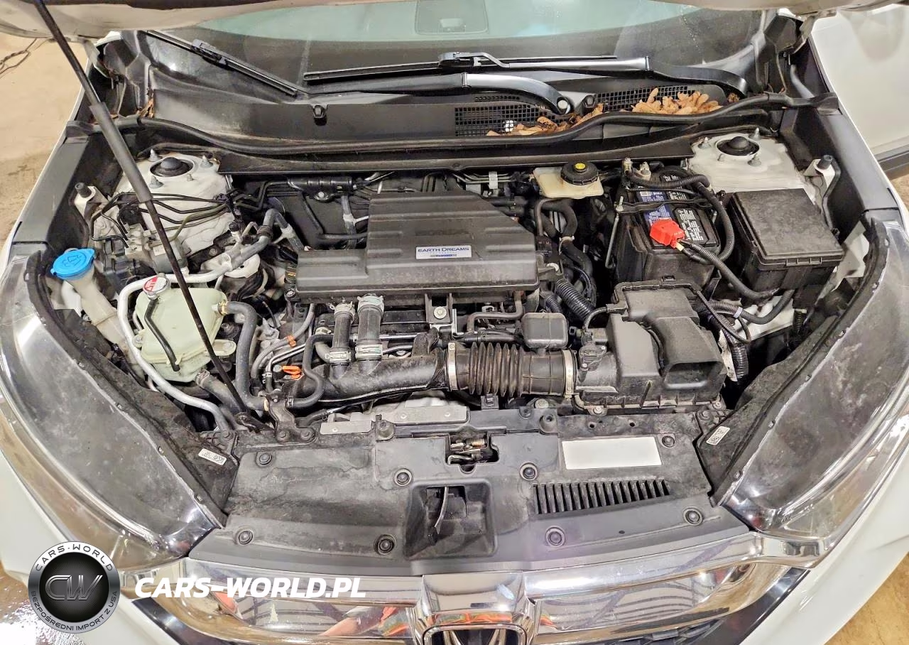 2019 Honda Cr-V Ex VIN:5J6RW2H54KL023956 - 12