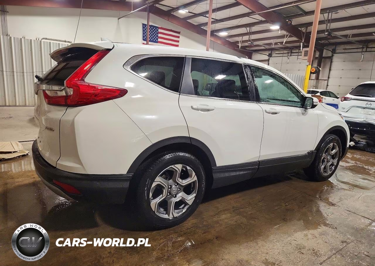 2019 Honda Cr-V Ex VIN:5J6RW2H54KL023956 - 3