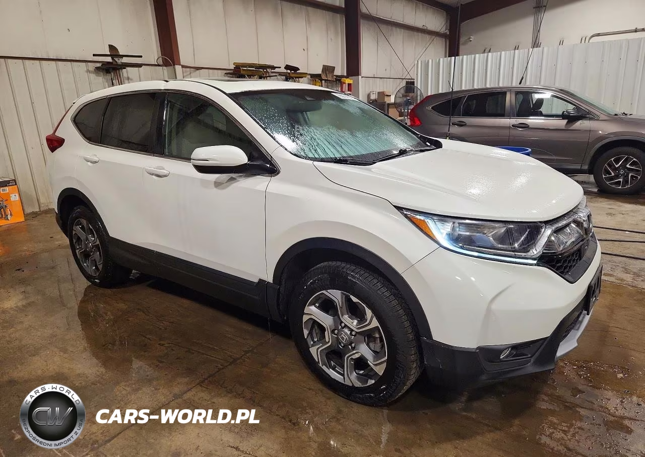 2019 Honda Cr-V Ex VIN:5J6RW2H54KL023956 - 4