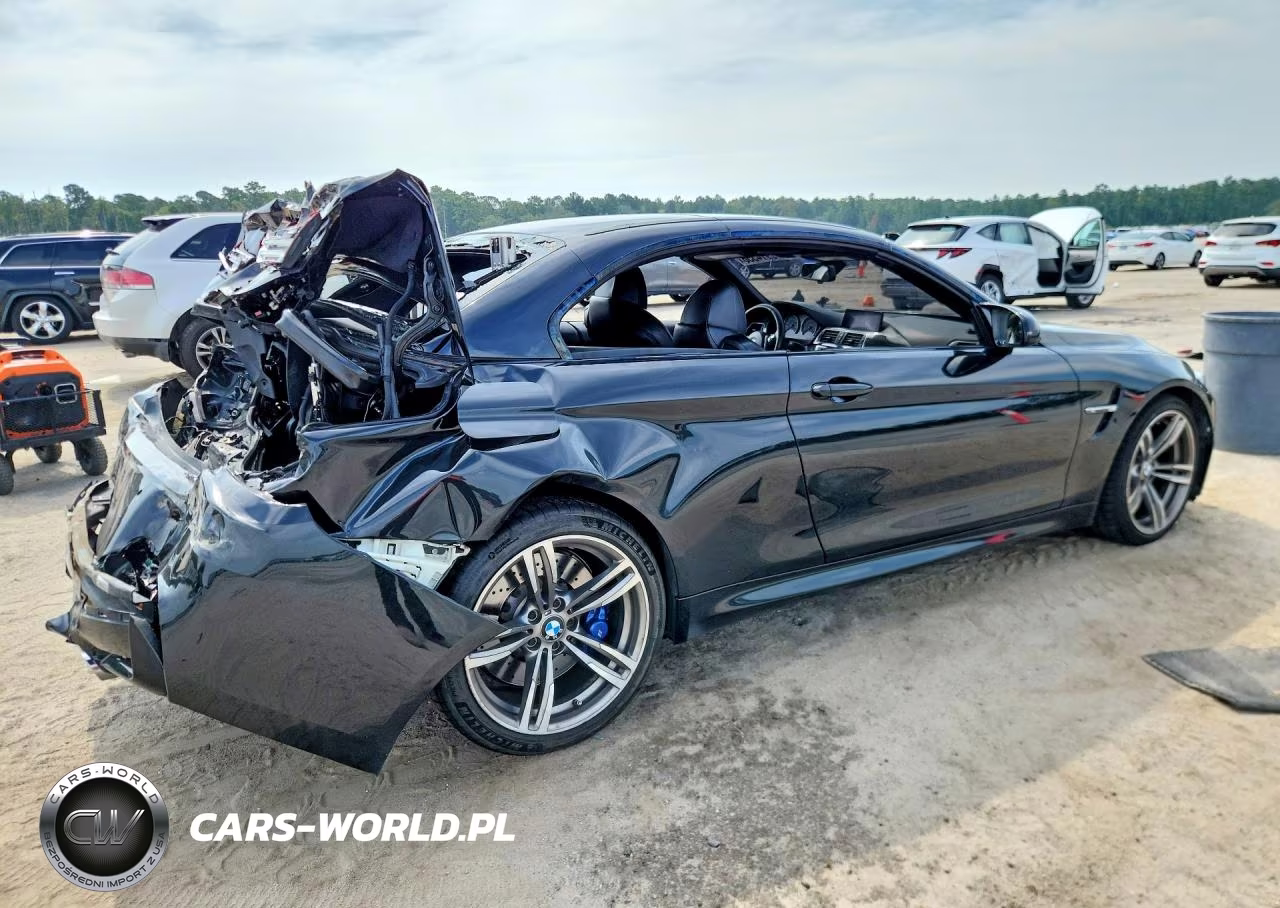 2016 BMW M4 Gts VIN:WBS3U9C59GP969948 - 3
