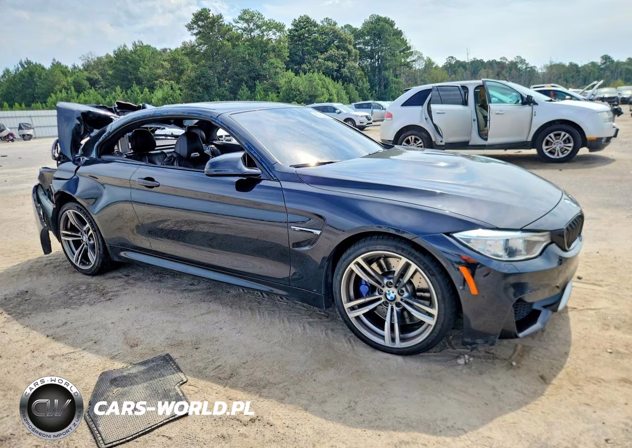 2016 BMW M4 Gts VIN:WBS3U9C59GP969948 - 4