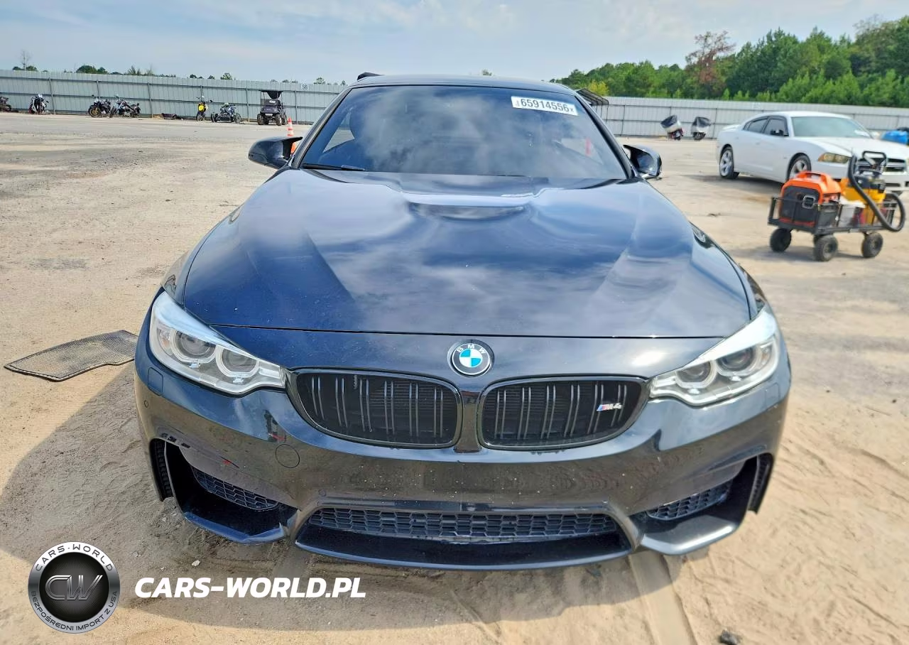 2016 BMW M4 Gts VIN:WBS3U9C59GP969948 - 5