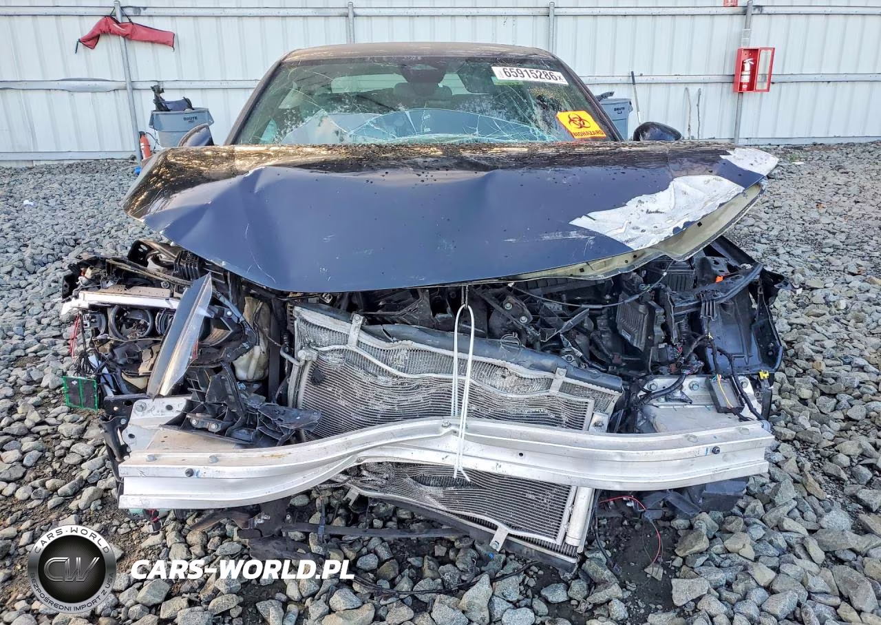 2024 Honda Civic Sport VIN:2HGFE2F59RH525420 - 5