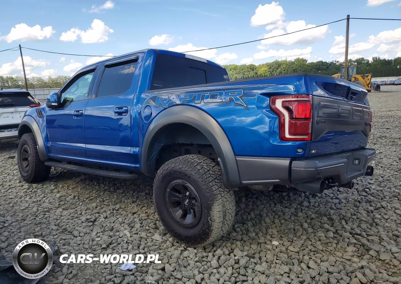 2018 Ford F150 Raptor VIN:1FTFW1RG9JFE34950 - 2