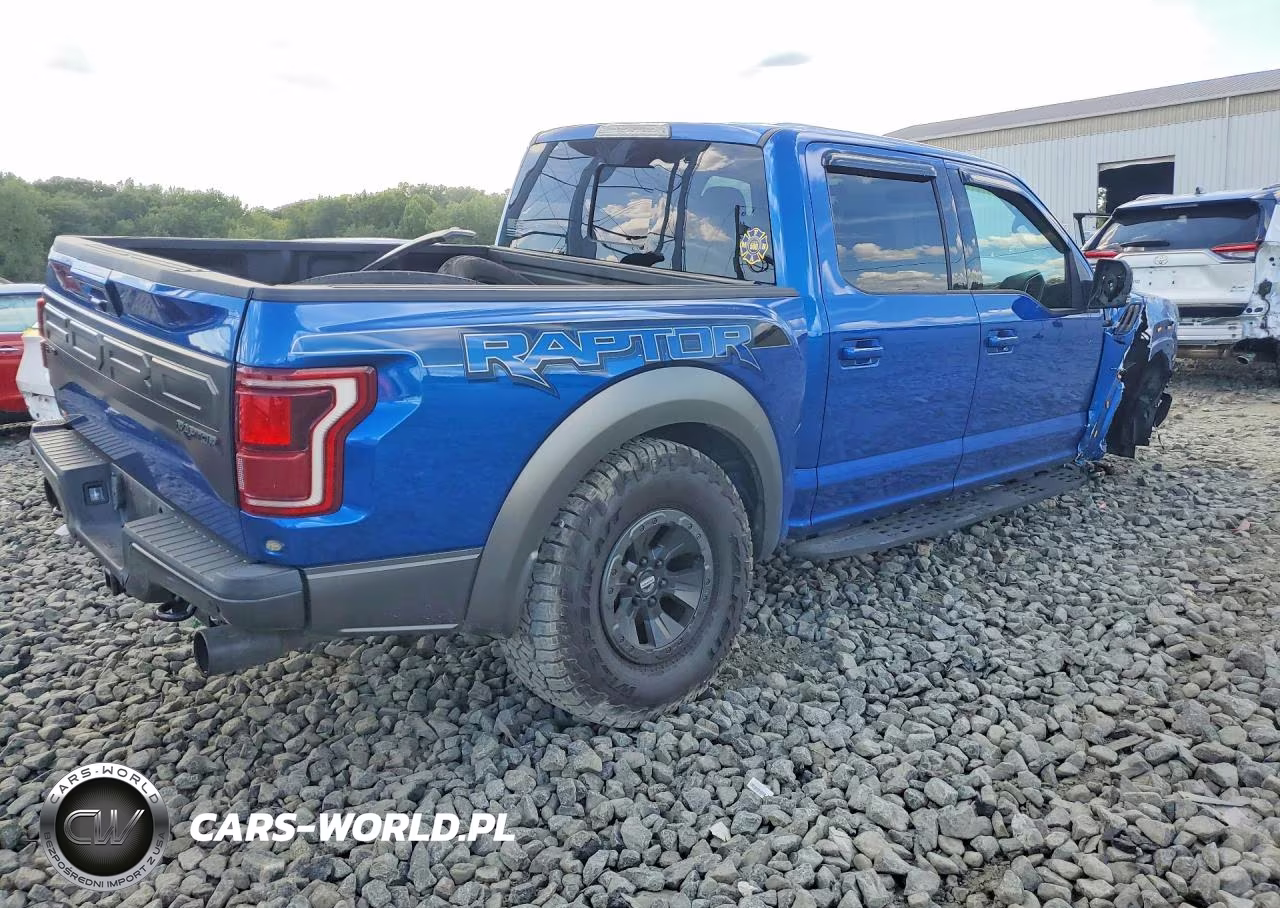 2018 Ford F150 Raptor VIN:1FTFW1RG9JFE34950 - 3