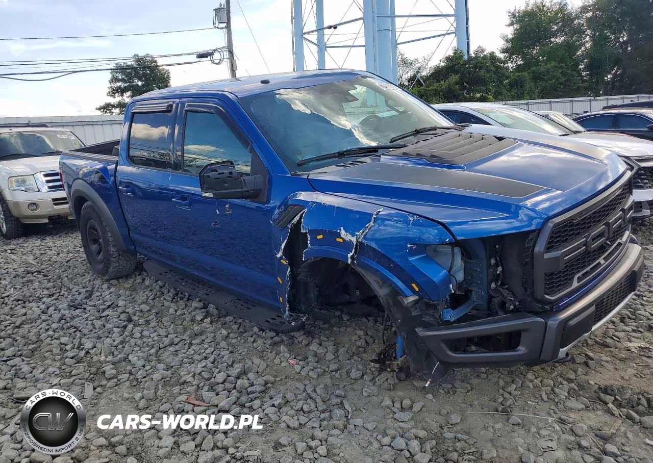 2018 Ford F150 Raptor VIN:1FTFW1RG9JFE34950 - 4