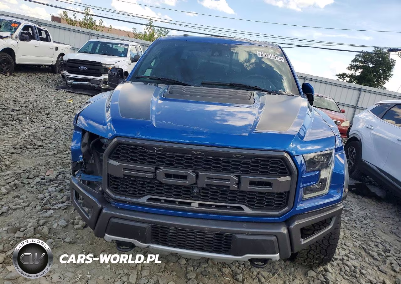 2018 Ford F150 Raptor VIN:1FTFW1RG9JFE34950 - 5