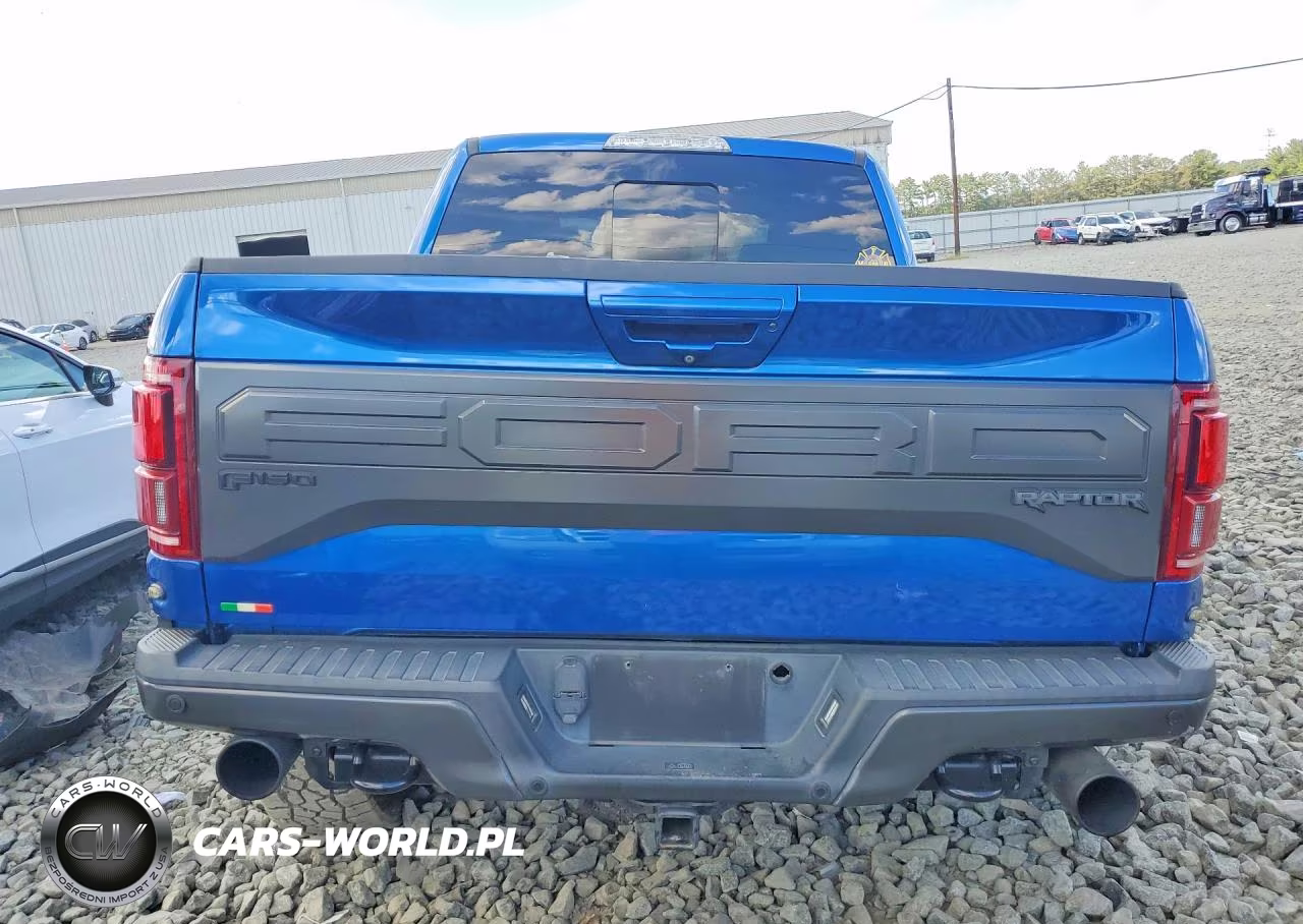 2018 Ford F150 Raptor VIN:1FTFW1RG9JFE34950 - 6