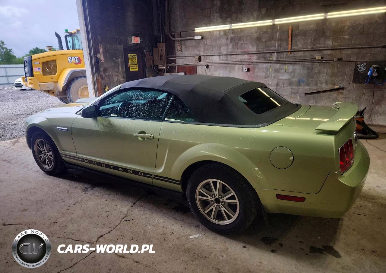 2005 Ford Mustang VIN:1ZVFT84N055232403 - 2