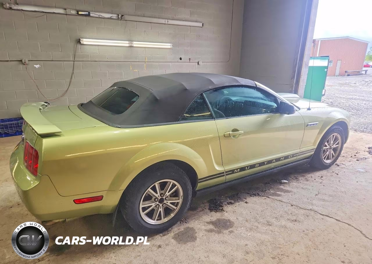 2005 Ford Mustang VIN:1ZVFT84N055232403 - 3