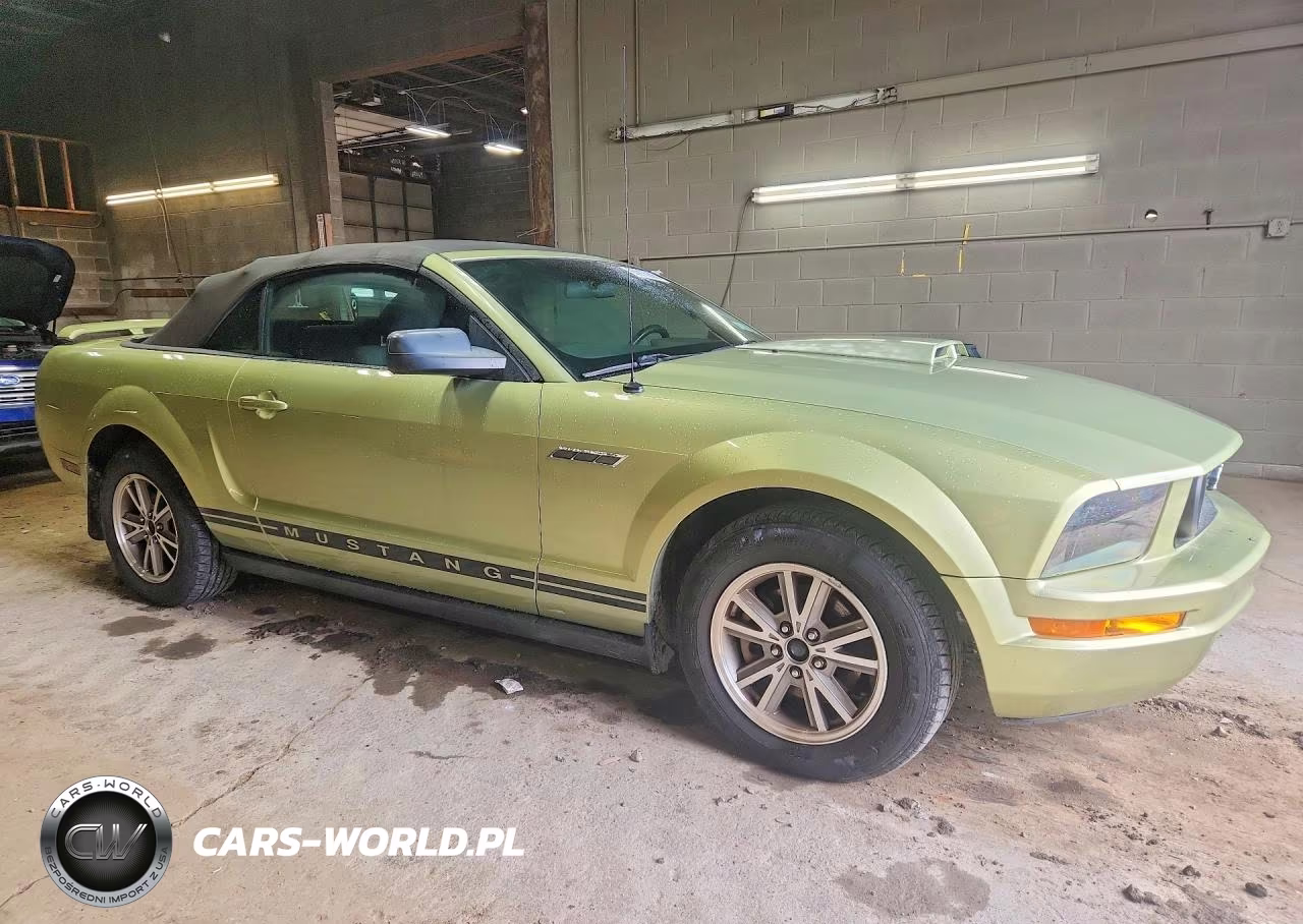2005 Ford Mustang VIN:1ZVFT84N055232403 - 4