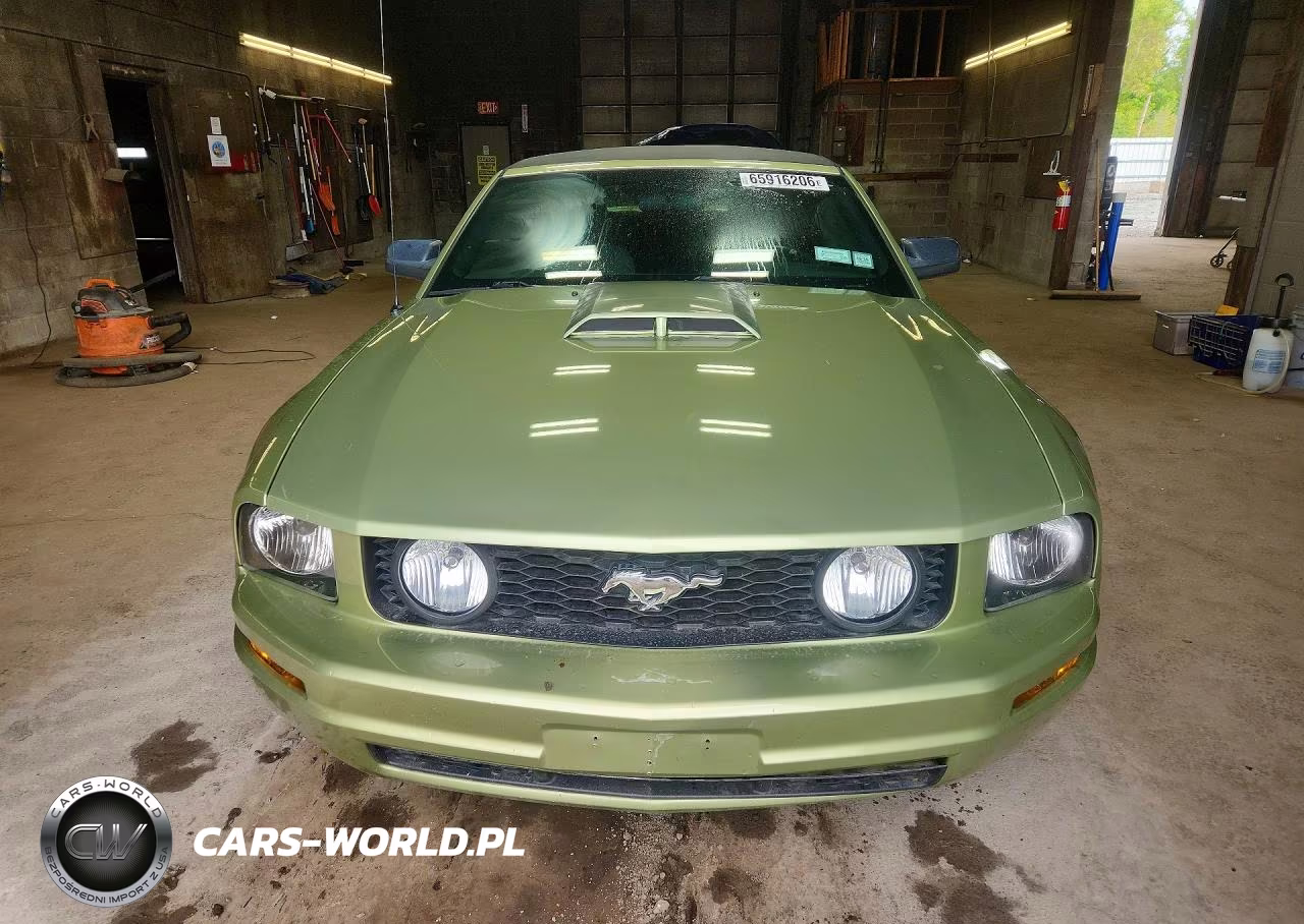 2005 Ford Mustang VIN:1ZVFT84N055232403 - 5