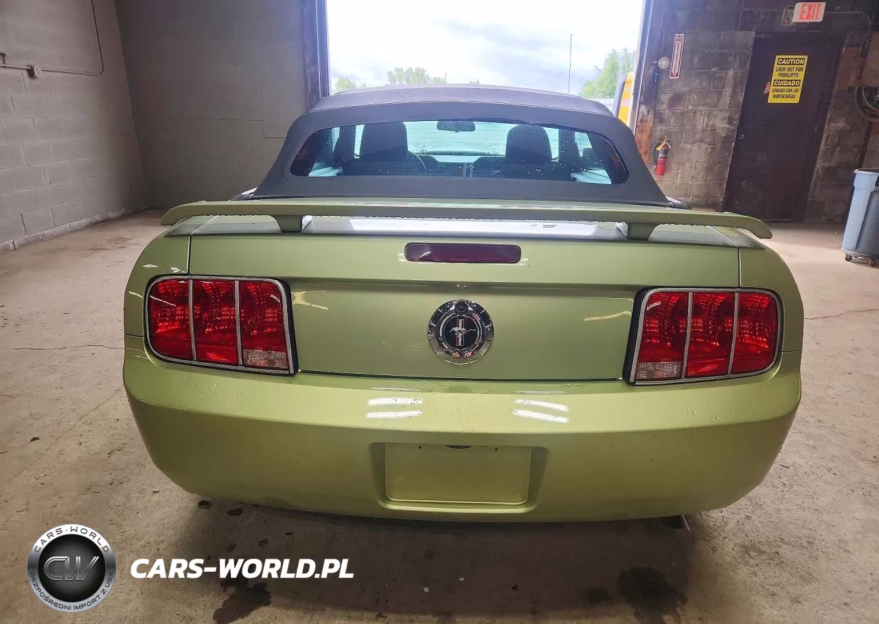 2005 Ford Mustang VIN:1ZVFT84N055232403 - 6