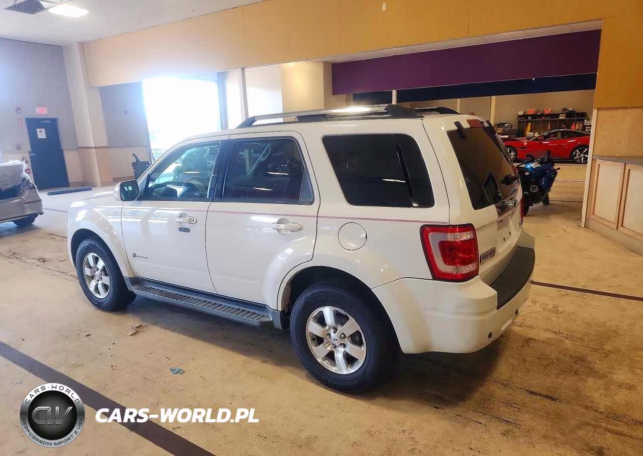 2009 Ford Escape Hybrid VIN:1FMCU59309KC14396 - 2