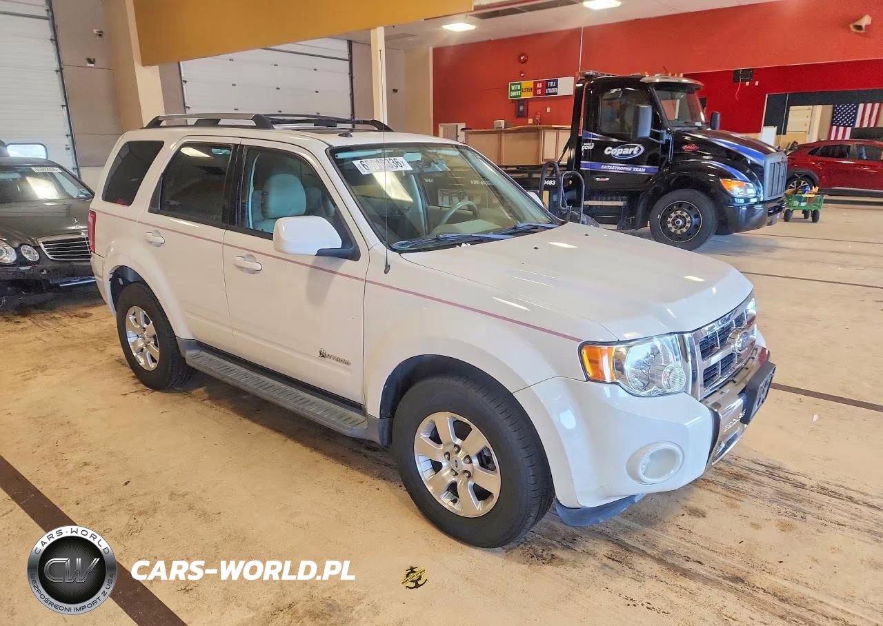2009 Ford Escape Hybrid VIN:1FMCU59309KC14396 - 4