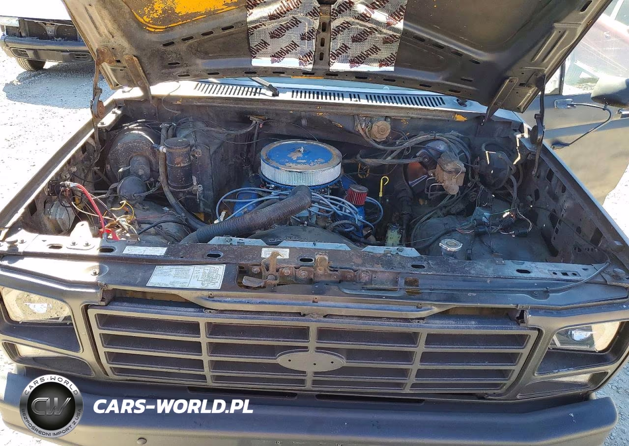 1985 Ford Bronco U100 VIN:1FMDU15H1FLB02419 - 12