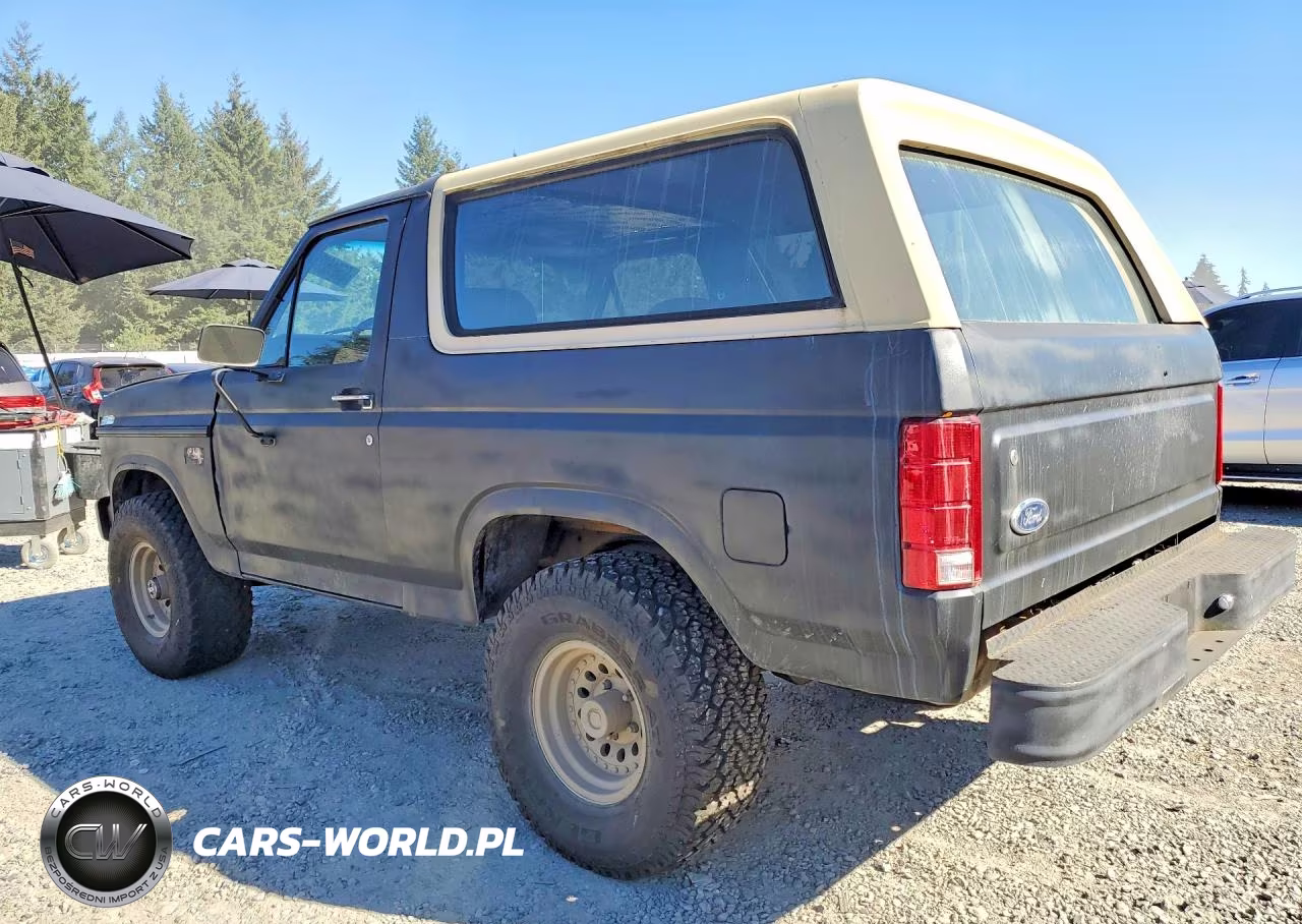 1985 Ford Bronco U100 VIN:1FMDU15H1FLB02419 - 2