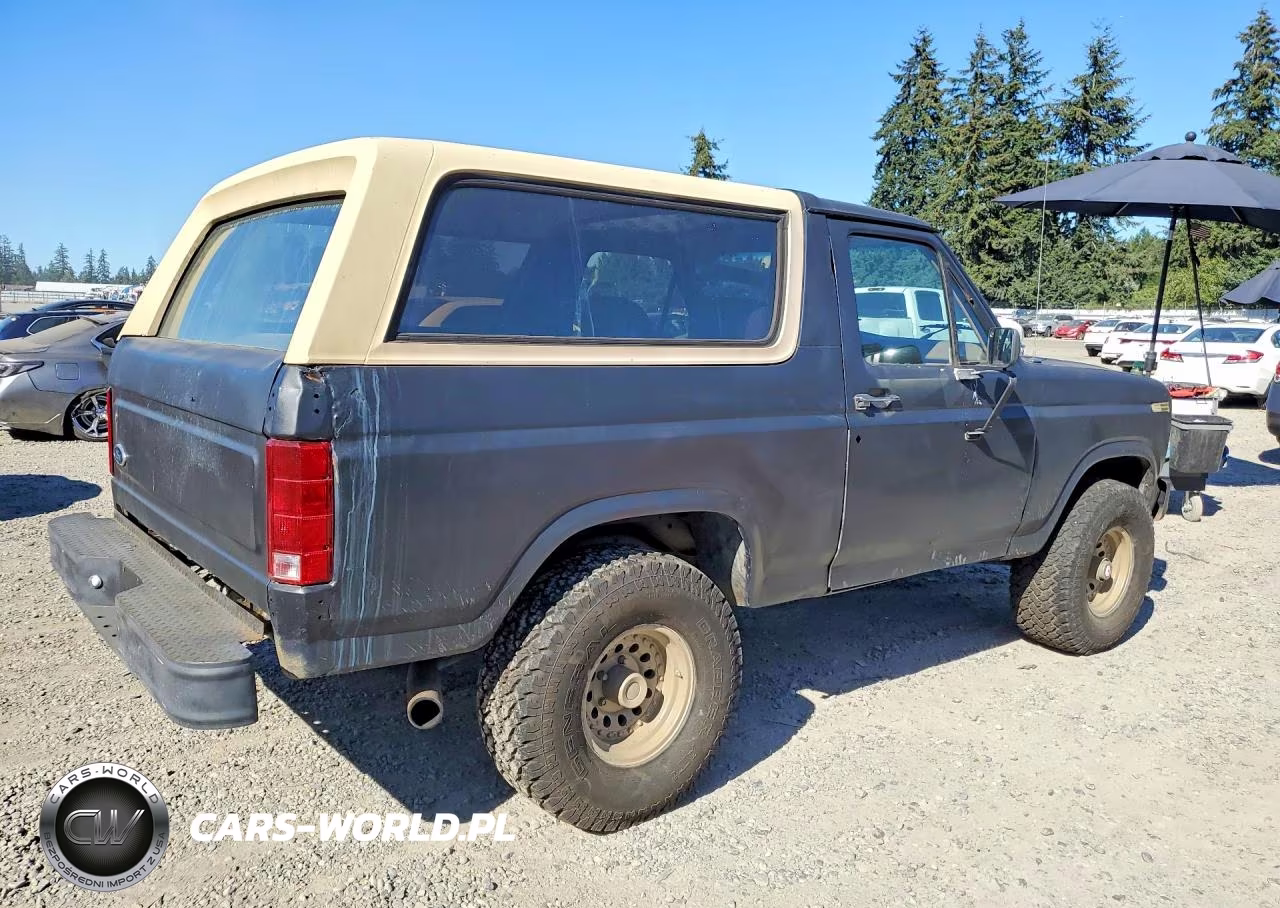 1985 Ford Bronco U100 VIN:1FMDU15H1FLB02419 - 3