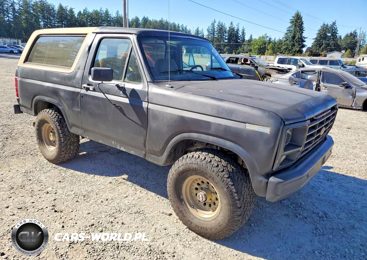 1985 Ford Bronco U100 VIN:1FMDU15H1FLB02419 - 4