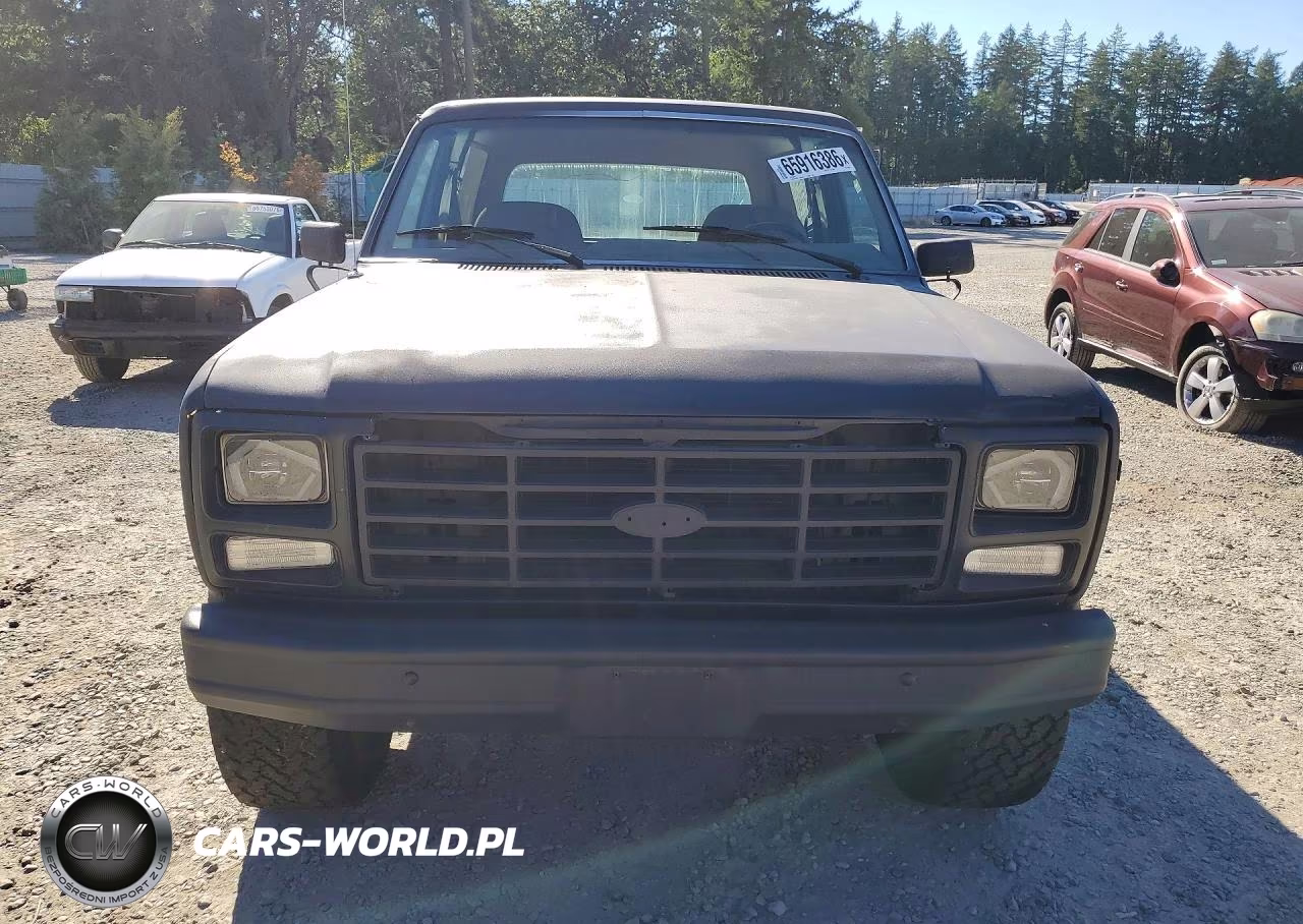 1985 Ford Bronco U100 VIN:1FMDU15H1FLB02419 - 5