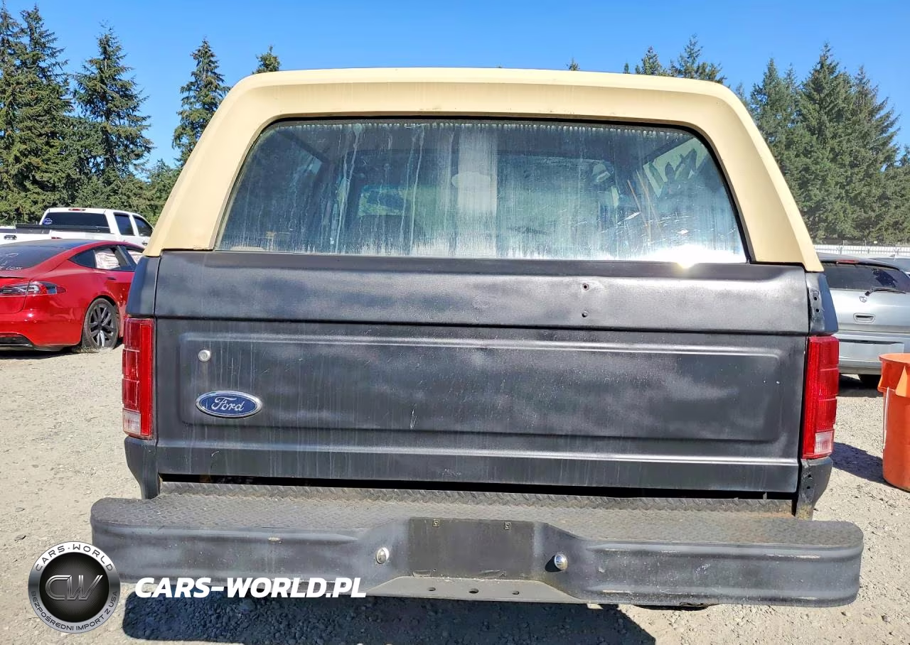 1985 Ford Bronco U100 VIN:1FMDU15H1FLB02419 - 6