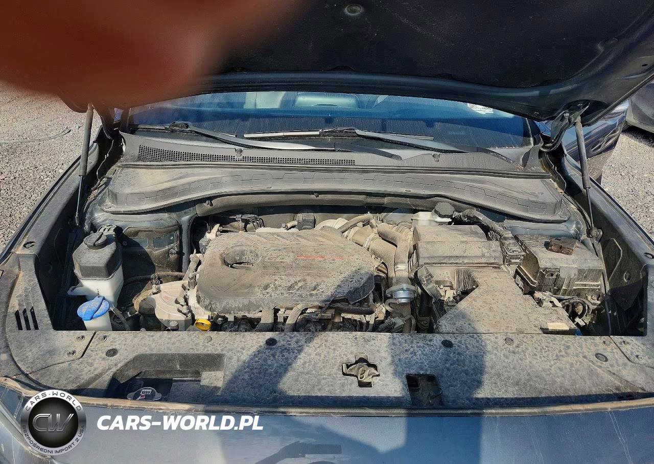 2020 Hyundai Santa Fe Sel 2.0T VIN:5NMS33AA6LH161174 - 12