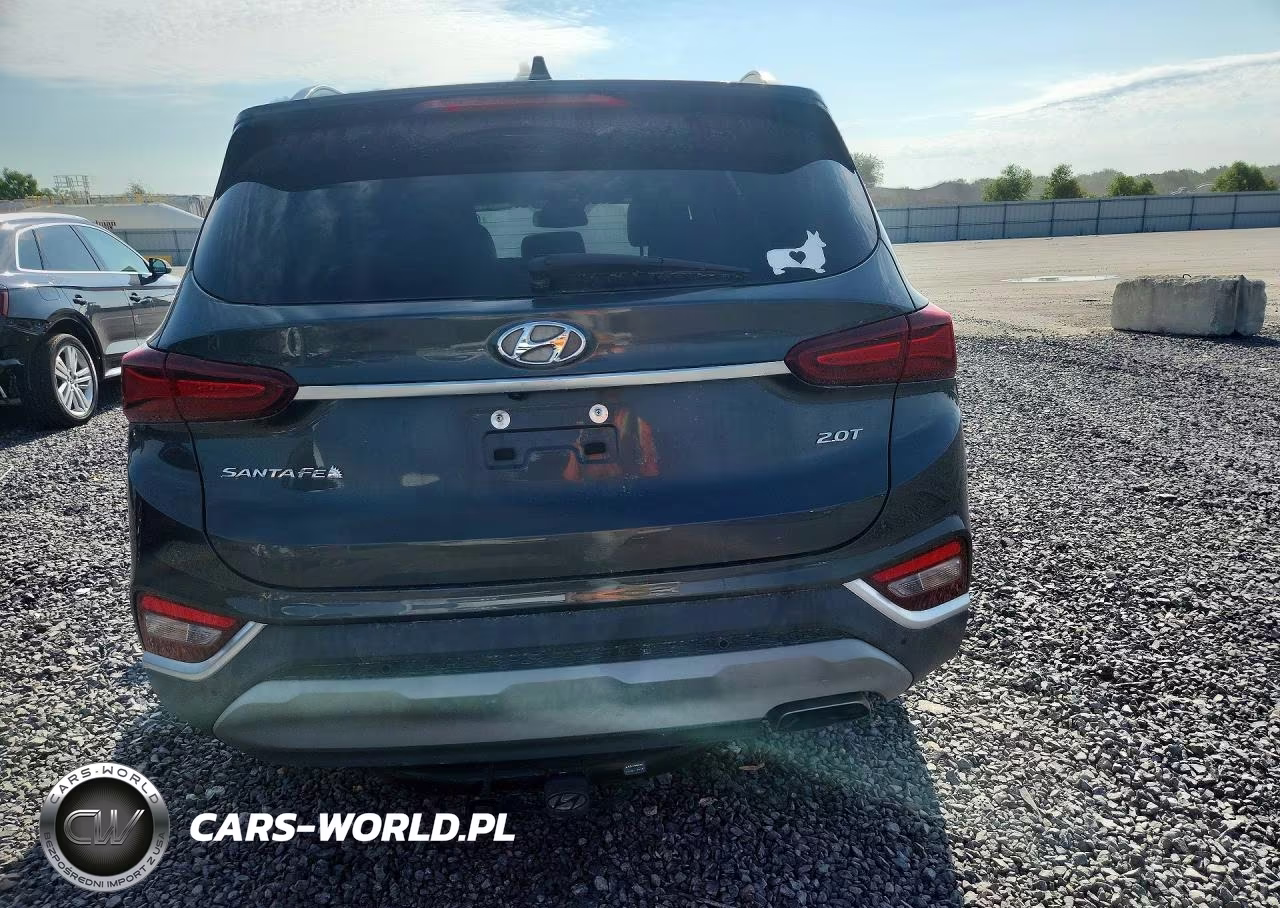 2020 Hyundai Santa Fe Sel 2.0T VIN:5NMS33AA6LH161174 - 6