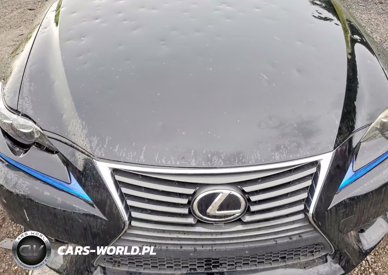 2015 Lexus Is 250 VIN:JTHCF1D21F5018479 - 11