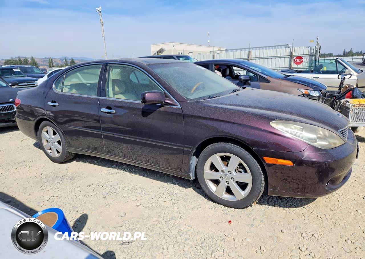 2005 Lexus Es 330 VIN:JTHBA30GX55085314 - 4