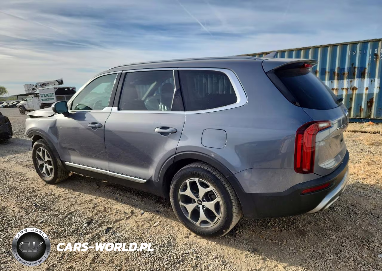 2021 Kia Telluride Ex VIN:5XYP34HC1MG134513 - 2