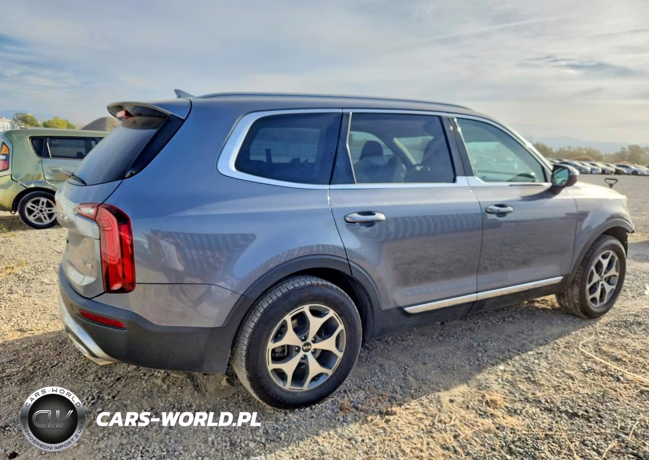 2021 Kia Telluride Ex VIN:5XYP34HC1MG134513 - 3