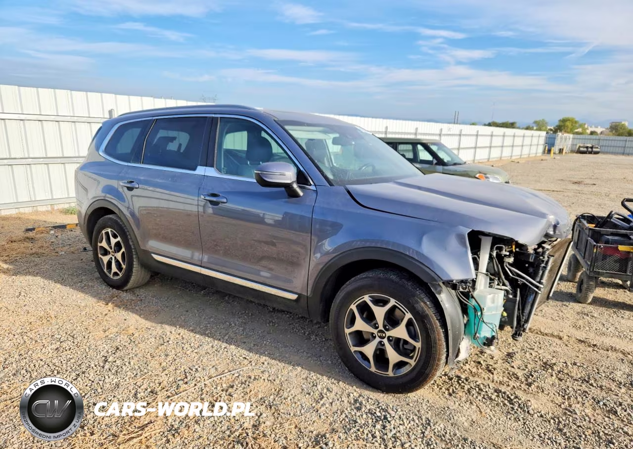 2021 Kia Telluride Ex VIN:5XYP34HC1MG134513 - 4