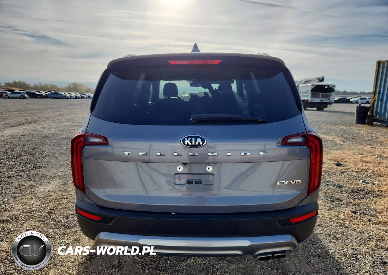 2021 Kia Telluride Ex VIN:5XYP34HC1MG134513 - 6