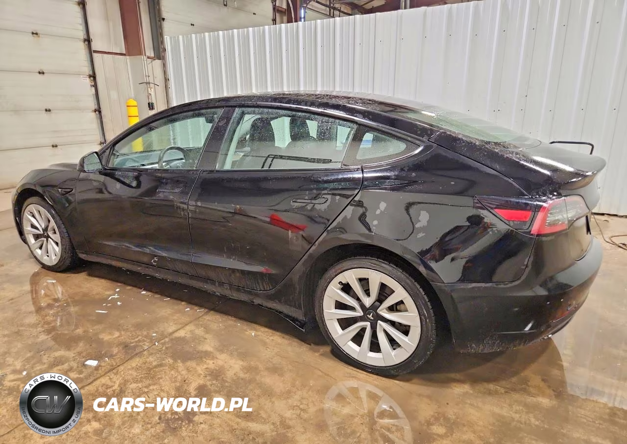 2023 Tesla Model 3 VIN:5YJ3E1EA4PF431622 - 2