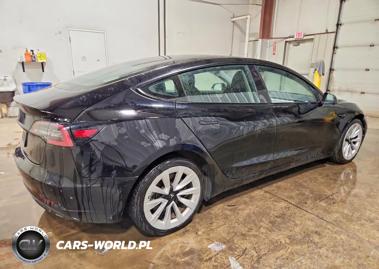 2023 Tesla Model 3 VIN:5YJ3E1EA4PF431622 - 3