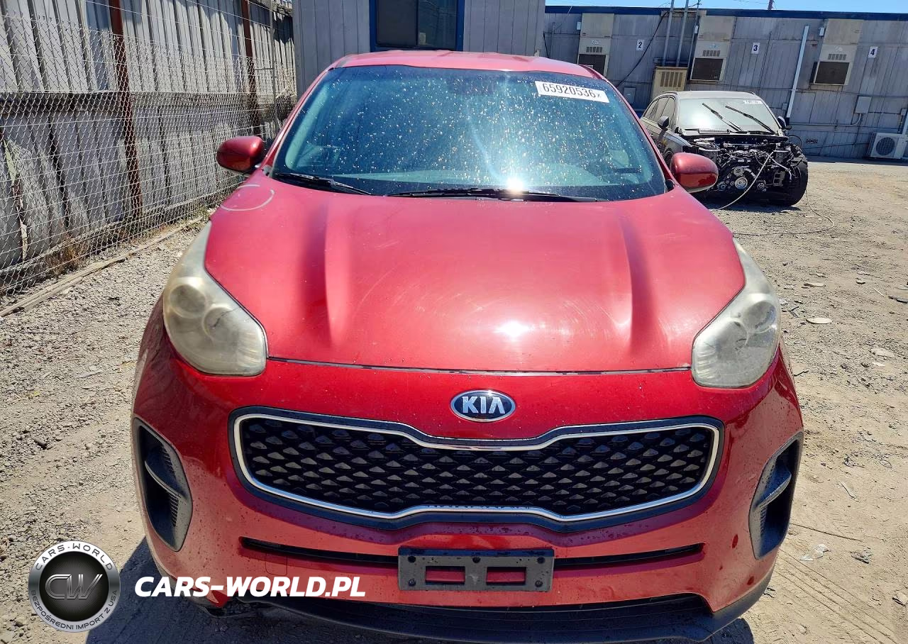 2019 Kia Sportage Lx VIN:KNDPM3AC6K7509596 - 5