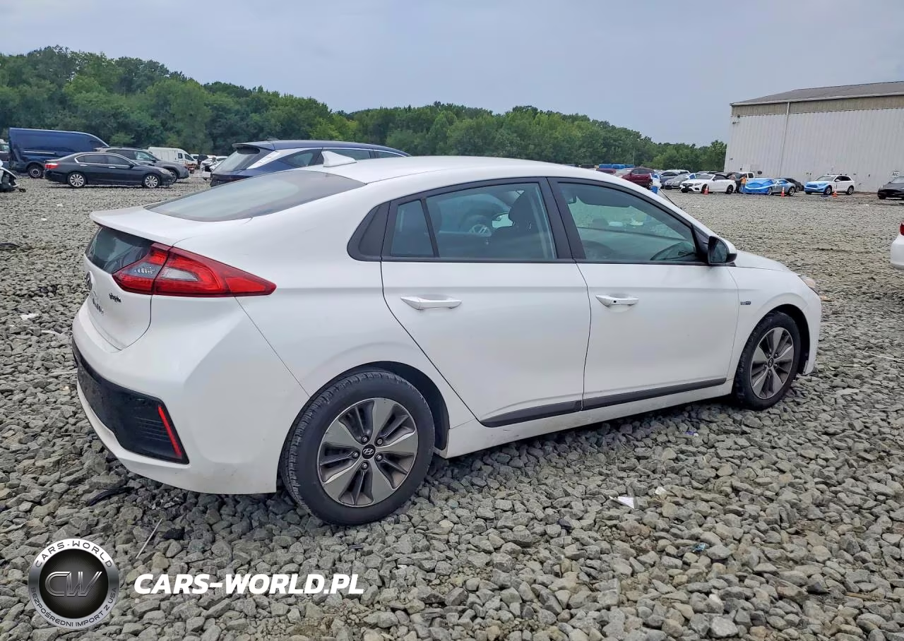 2019 Hyundai Ioniq Plug-In Hybrid Base VIN:KMHC65LD3KU181769 - 3
