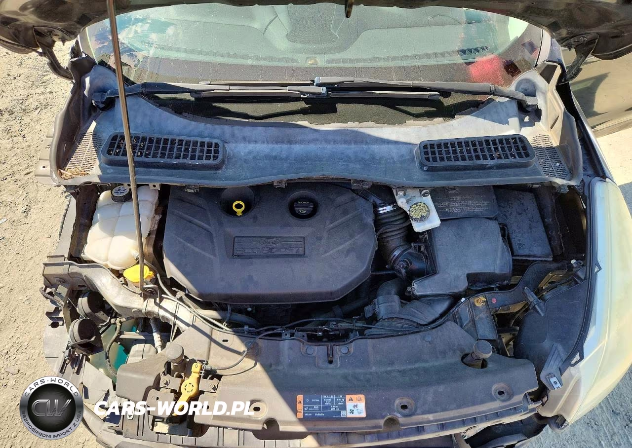 2014 Ford Escape Se VIN:1FMCU0G99EUB49380 - 11