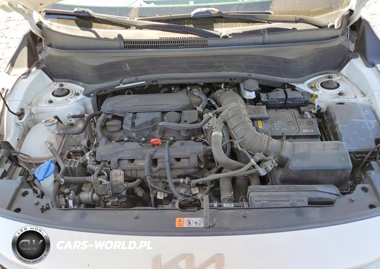 2024 Kia Seltos Sx VIN:KNDETCA79R7631618 - 12