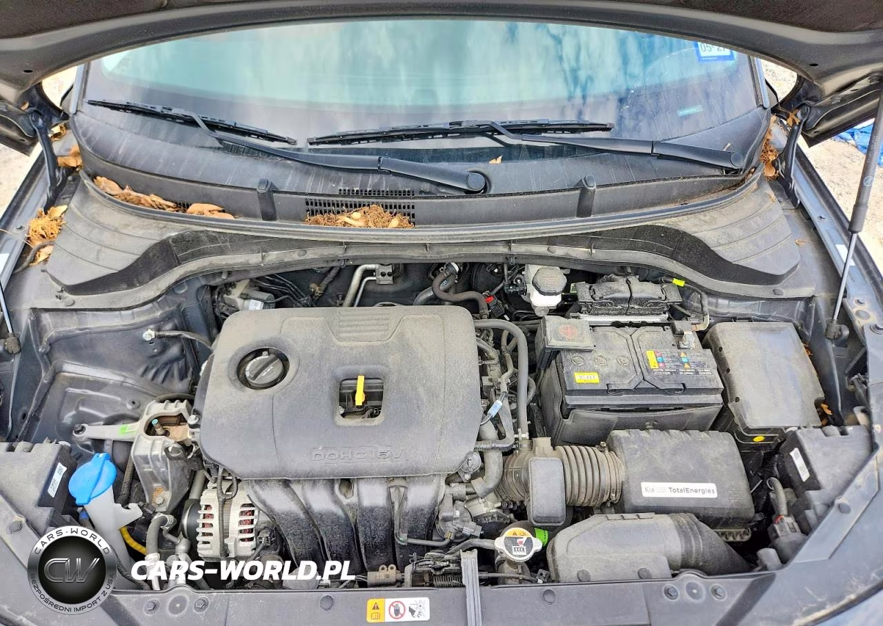 2024 Kia Soul Ex VIN:KNDJ33AU8R7913401 - 11