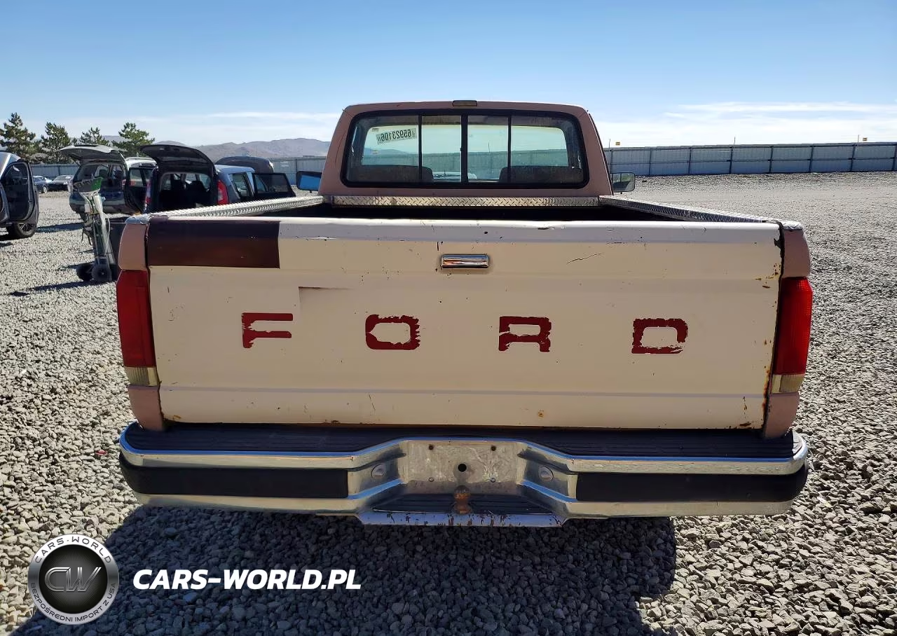 1988 Ford F150 VIN:1FTEF14H1JPB90488 - 6