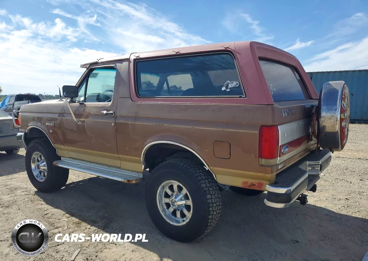 1989 Ford Bronco U100 VIN:1FMEU15N4KLA82395 - 2